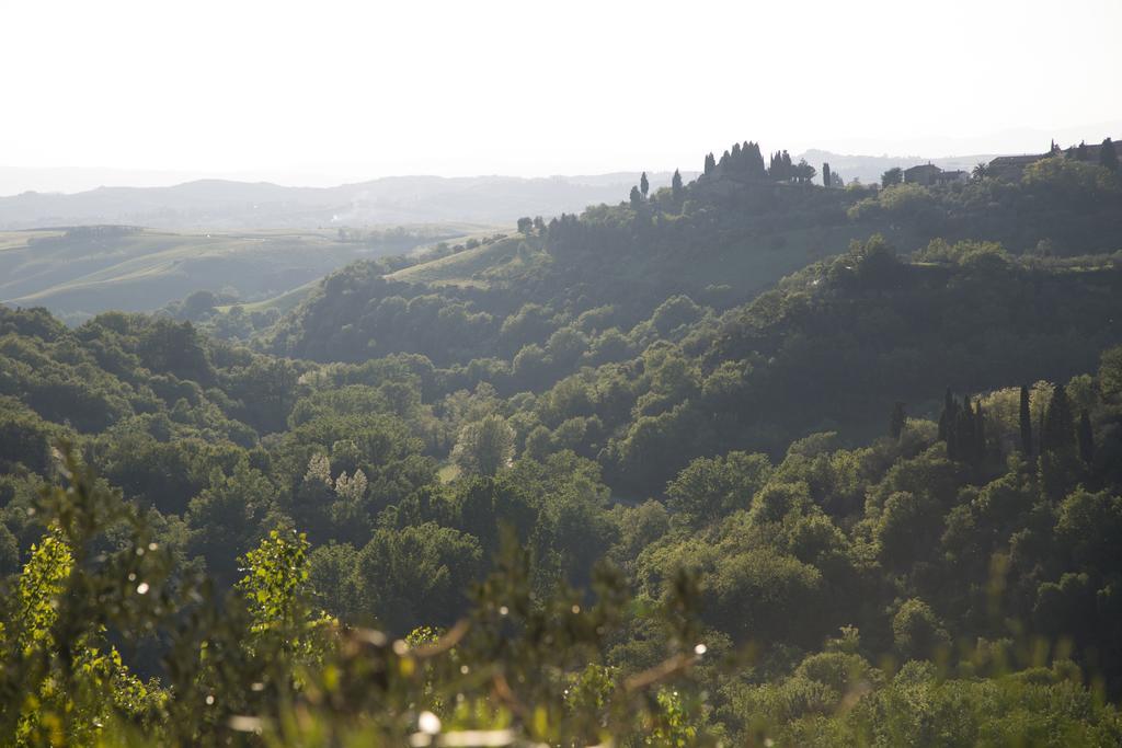 הוילה קאסטלמוזיו Casa Sandro A Podere Pascianella מראה חיצוני תמונה